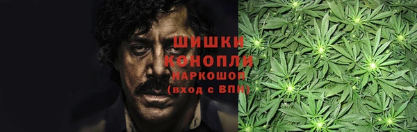 СК Покачи